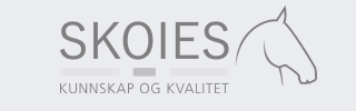 logo_skoies
